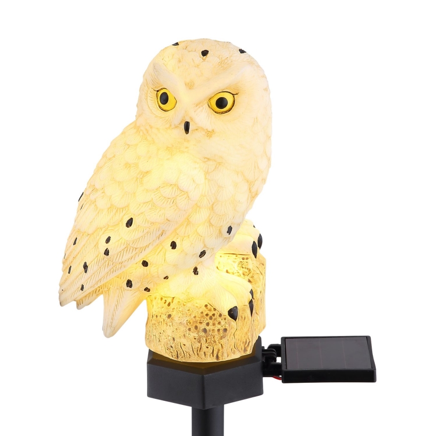 Globo - Iluminação solar LED LED/0,06W/3V IP44 coruja