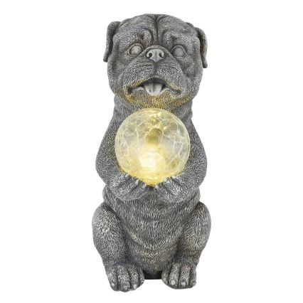 Globo - Decoração solar LED LED/0,02W/3V IP44 300 mAh cão