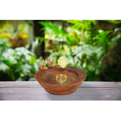 Globo - Iluminação solar LED LED/0,06W/3V IP44 Banho dos pássaros