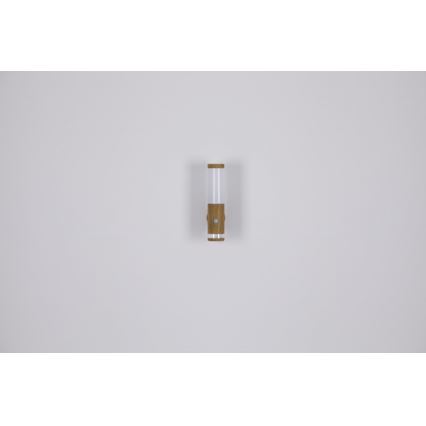 Globo - Iluminação de parede exterior com sensor 1xE27/15W/230V IP44