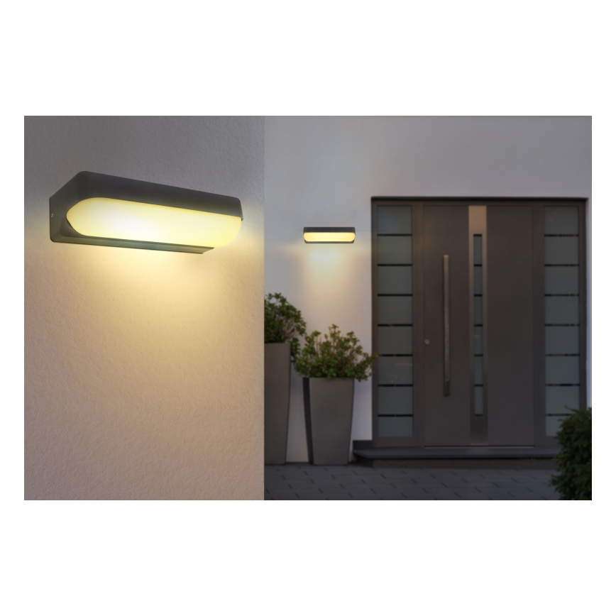 Globo - Iluminação de parede exterior LED LED/10W/230V IP54