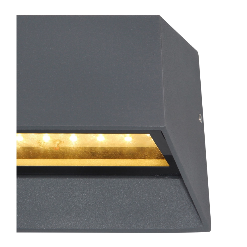 Globo - Iluminação de parede exterior LED LED/7W/230V IP54 antracite