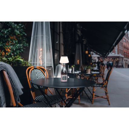 Globo - Luz solar LED para garrafas 10xLED/1,5W/3V IP44