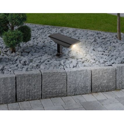 Globo - Iluminação solar LED 2em1 LED/1W/3V IP44