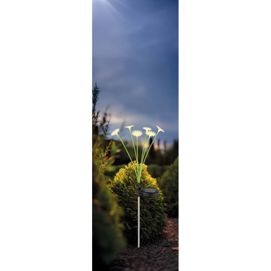 Globo - Candeeiro solar LED 6xLED/3V IP44 600 mAh em forma de flor