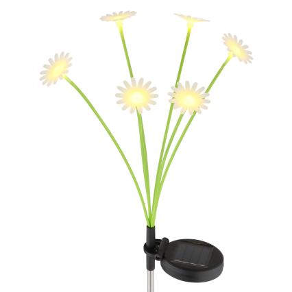 Globo - Candeeiro solar LED 6xLED/3V IP44 600 mAh em forma de flor