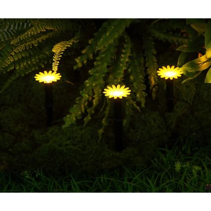 Globo - Guirlanda solar LED com 5 LEDs, 3V, IP44, 300 mAh, 2,2 m, flores