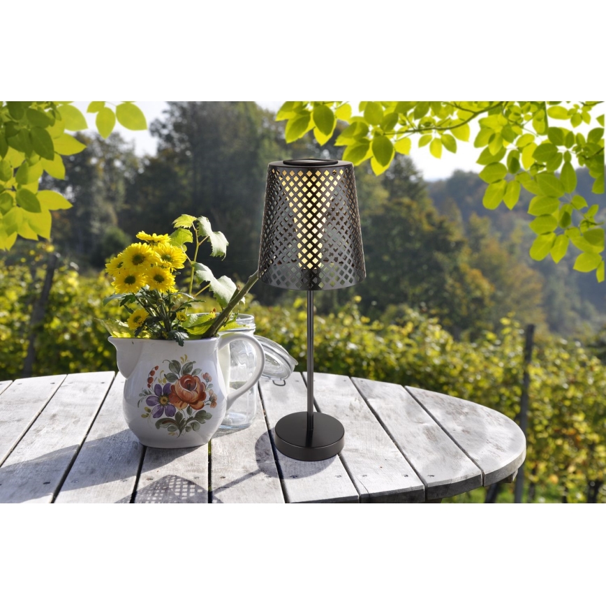 Globo - Iluminação solar LED LED/0,06W/3V IP44