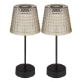 Globo 36634-2S - CONJUNTO 2x Luzes solares LED SOLAR LED/0,06W/3V IP44 40 mAh cinzento