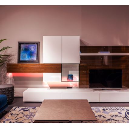 Globo - LED RGB Tira com regulação LED/6W/230V 1m + controlo remoto