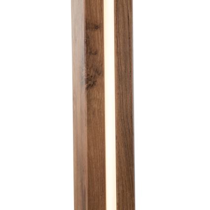 Globo - Candeeiro de pé LED/17W/230V + 1xE27/40W