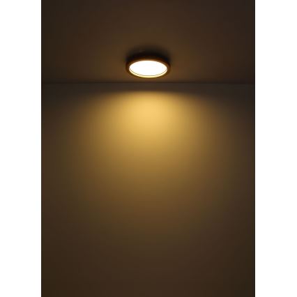 Globo - Iluminação de teto LED RGBW com regulação LED/24W/230V 2700-6000K + controlo remoto