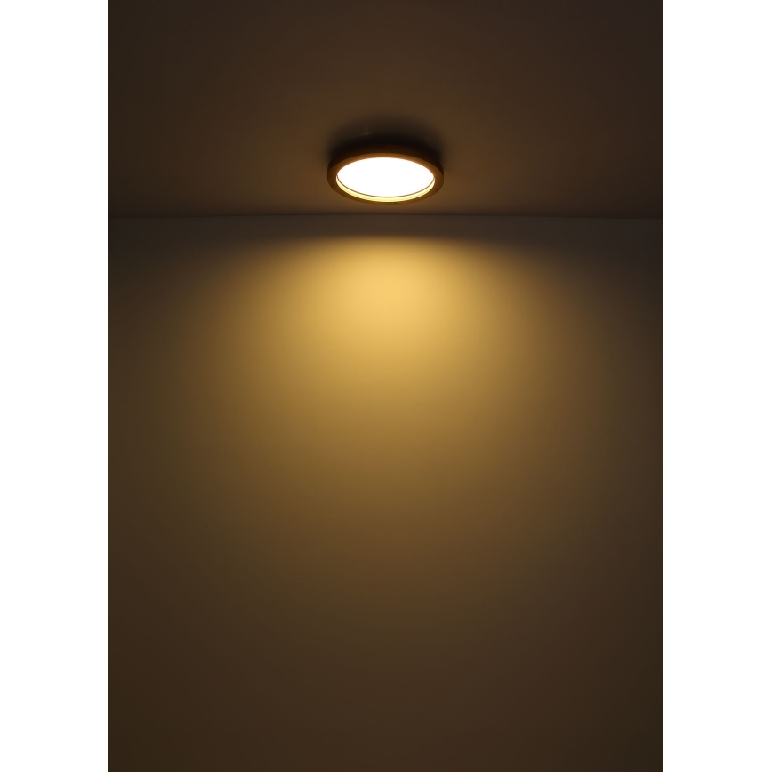 Globo - Iluminação de teto LED RGBW com regulação LED/24W/230V 2700-6000K + controlo remoto