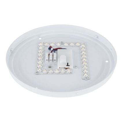 Globo - Plafon LED/12W/230V 3000/4200/6500K diâmetro 26 cm