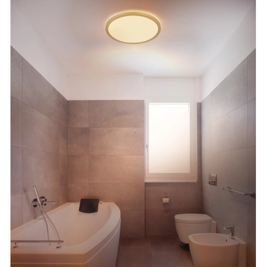 Globo - Iluminação de teto para casa de banho LED com regulação LED/18W/230V 3000K IP44 diâmetro 29,4 cm latão