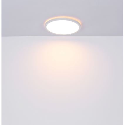Globo - Iluminação de teto de casa de banho LED com regulação LED/18W/230V diâmetro 29,4 cm IP44 branco