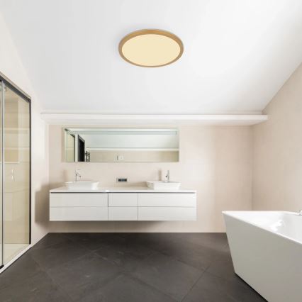 Globo - Iluminação de teto para casa de banho LED com regulação LED/24W/230V 3000K IP44 diâmetro 42 cm latão