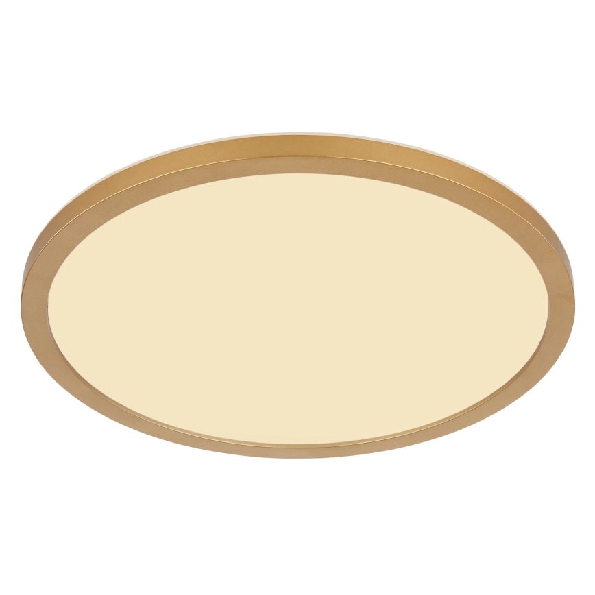 Globo - Iluminação de teto para casa de banho LED com regulação LED/24W/230V 3000K IP44 diâmetro 42 cm latão