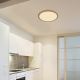 Globo - Iluminação de teto de casa de banho LED com regulação LED/24W/230V diâmetro 42 cm IP44 castanho