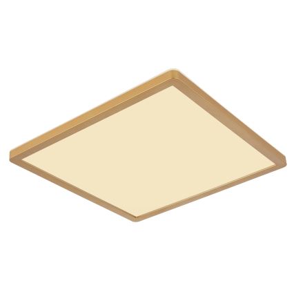 Globo - Iluminação de teto para casa de banho LED com regulação LED/18W/230V 3000K IP44 29,4x29,4 cm latão