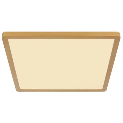 Globo - Iluminação de teto para casa de banho LED com regulação LED/18W/230V 3000K IP44 29,4x29,4 cm latão