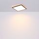 Globo - Iluminação de teto de casa de banho LED com regulação LED/24W/230V 42x42 cm IP44 preto
