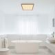Globo - Iluminação de teto de casa de banho LED com regulação LED/24W/230V 42x42 cm IP44 castanho