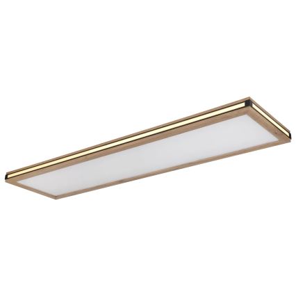 Globo - Iluminação de teto LED com regulação LED/36W/230V 3000K 30x120 cm