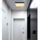 Globo - Iluminação de teto LED LED/18W/230V 30x30 cm preto