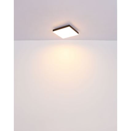 Globo - Iluminação de teto LED LED/18W/230V 30x30 cm preto