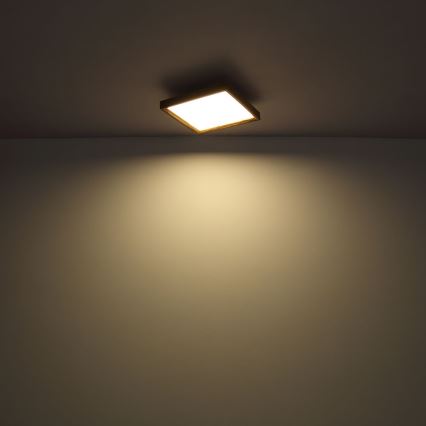 Globo - Iluminação de teto LED LED/24W/230V 45cm 2700/4500/6500K