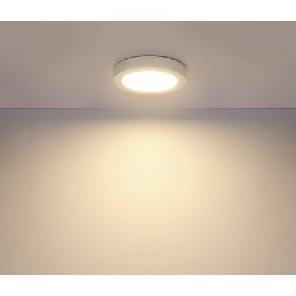 Globo - Candeeiro de tecto LED para casa de banho LED/18W/230V IP44