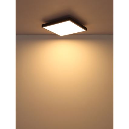 Globo - Iluminação de teto LED LED/24W/230V 3000K 45x45 cm