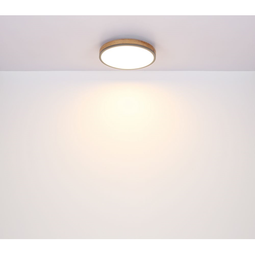 Globo - Iluminação de teto LED LED/12W/230V d. 30 cm