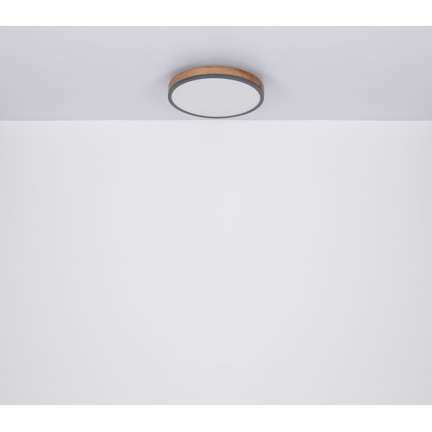 Globo - Iluminação de teto LED LED/12W/230V d. 30 cm