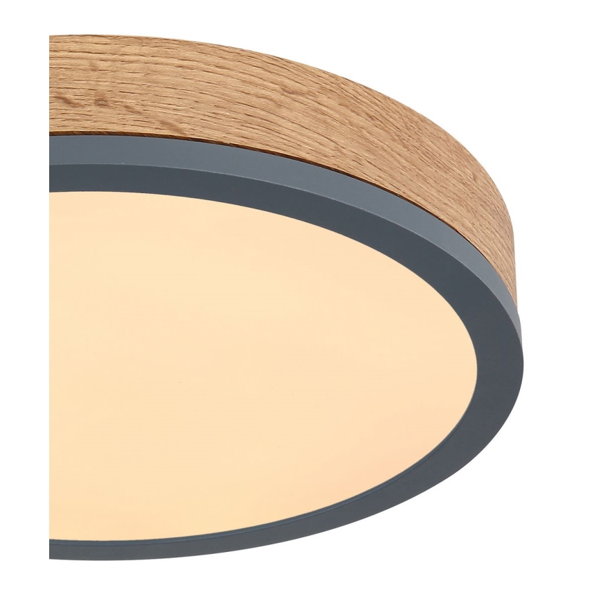 Globo - Iluminação de teto LED LED/12W/230V d. 30 cm