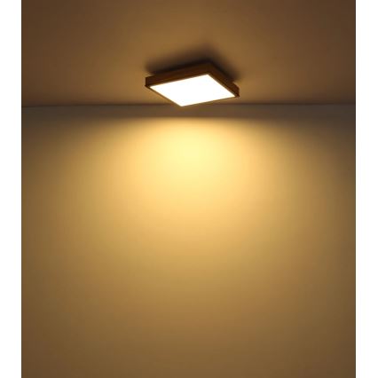 Globo - Luminária de teto dimerizável LED/24W/230V 3000-6500K 45x45 cm