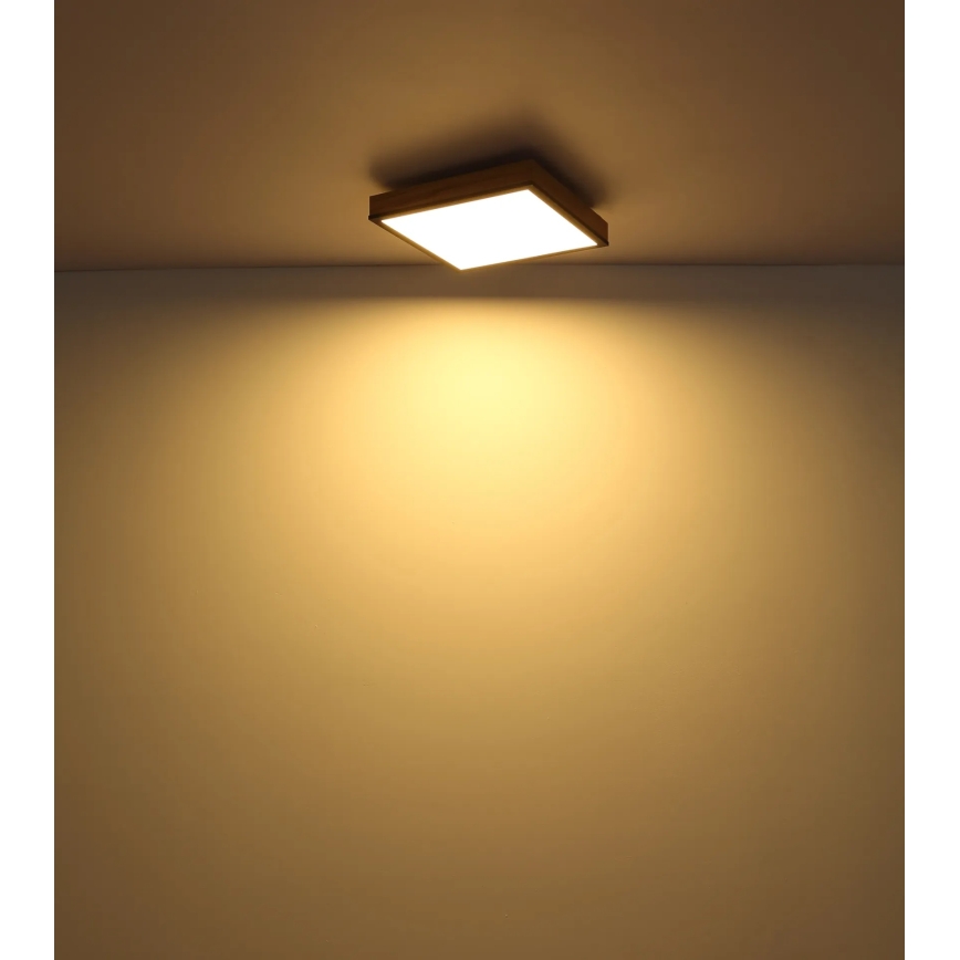 Globo - Luminária de teto dimerizável LED/24W/230V 3000-6500K 45x45 cm