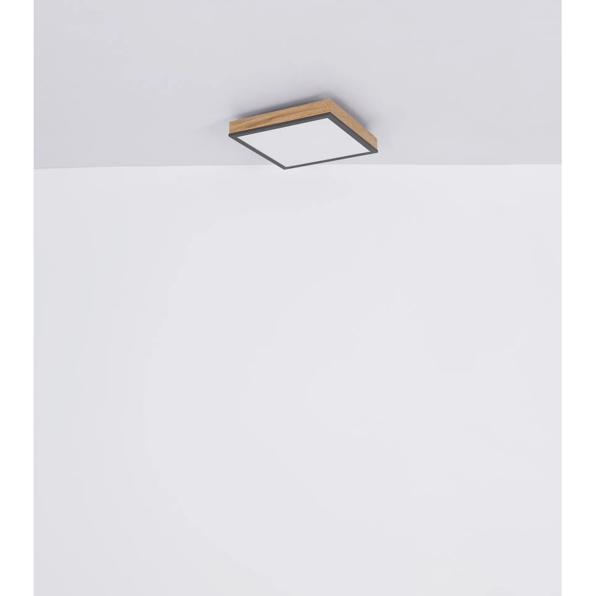 Globo - Luminária de teto dimerizável LED/24W/230V 3000-6500K 45x45 cm