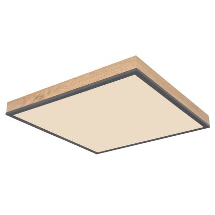 Globo - Luminária de teto dimerizável LED/24W/230V 3000-6500K 45x45 cm