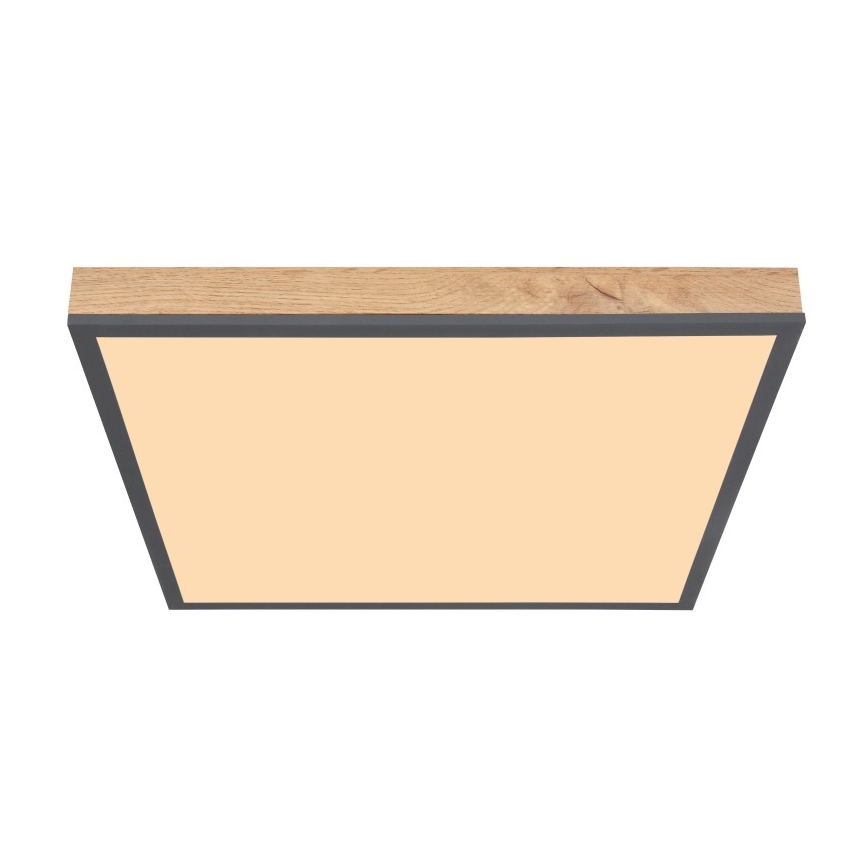 Globo - Iluminação de teto LED LED/24W/230V