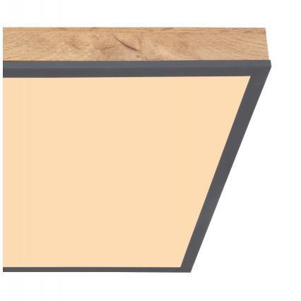 Globo - Iluminação de teto LED LED/24W/230V