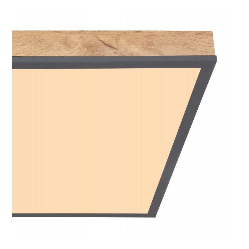 Globo - Iluminação de teto LED LED/24W/230V