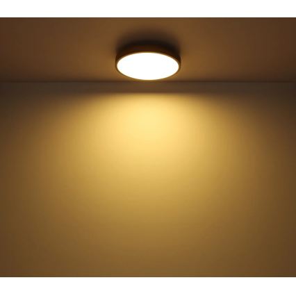Globo - Candeeiro de tecto LED dimerizável LED/24W/230V 2700-6500K Ø 45 cm