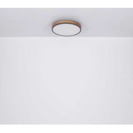 Globo - Candeeiro de tecto LED dimerizável LED/24W/230V 2700-6500K Ø 45 cm