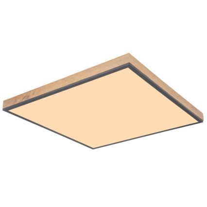 Globo - Iluminação de teto LED LED/36W/230V