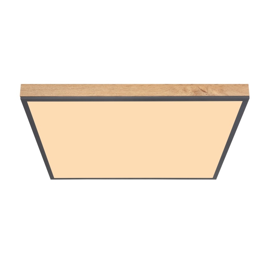 Globo - Iluminação de teto LED LED/36W/230V