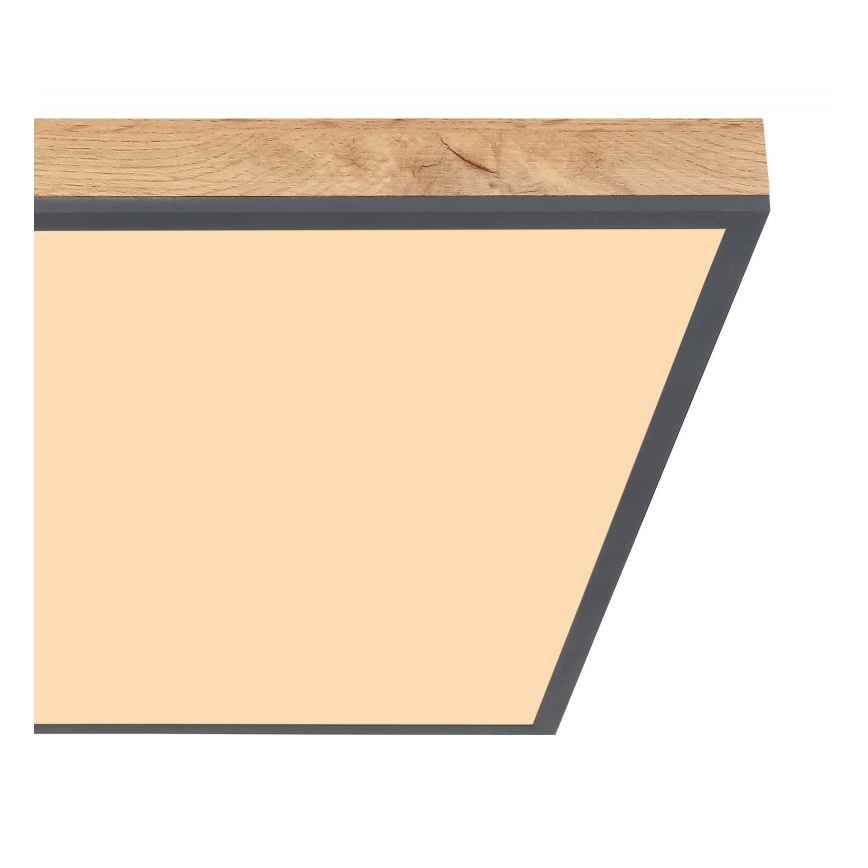 Globo - Iluminação de teto LED LED/36W/230V