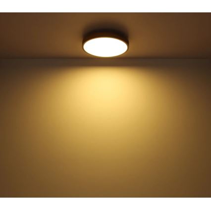 Globo - Iluminação de teto LED com regulação LED/40W/230V 2700-6500K diâmetro 60 cm + comando castanho/cinzento