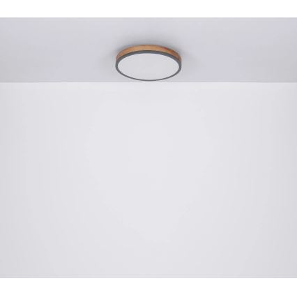 Globo - Iluminação de teto LED com regulação LED/40W/230V 2700-6500K diâmetro 60 cm + comando castanho/cinzento